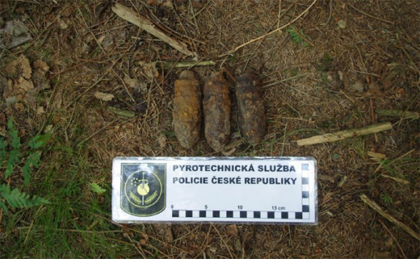 V lese na Havlíčkobrodsku nalezl muž nevybuchlou munici