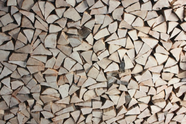 ČOI: Při nákupu palivového dřeva před zimou si zkontrolujte hlavně cenu