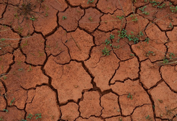 Opatření ke snížení dopadů dlouhodobého sucha a nedostatku vody na území Kraje Vysočina