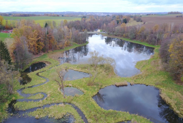AOPK: Revitalizace Petrkovského rybníka je dokončena